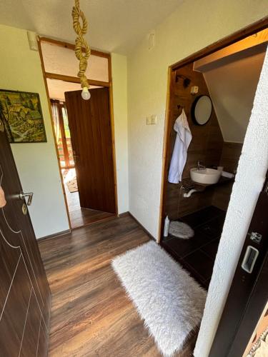 einen Flur mit einem Bad mit einem Waschbecken und einem Spiegel in der Unterkunft Villa Mona Zeleni Vir in Olovo