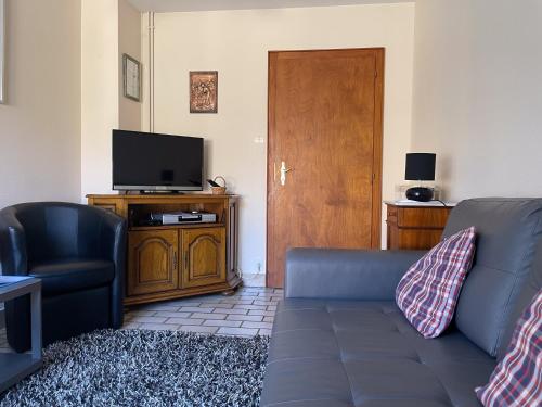 a living room with a couch and a flat screen tv at Gite Haydi in Itterswiller
