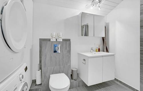 La salle de bains blanche est pourvue de toilettes et d'un lavabo. dans l'établissement Nice Apartment In Slagelse With Kitchen, à Slagelse