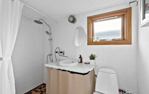 a bathroom with a sink and a toilet and a window at Lovely Home In Jgerspris With Kitchen in Jægerspris