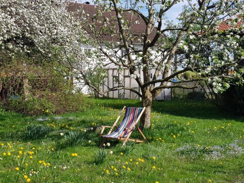 a chair sitting in the grass under a tree at Ferienwohnung Hofen 5 in Peiting