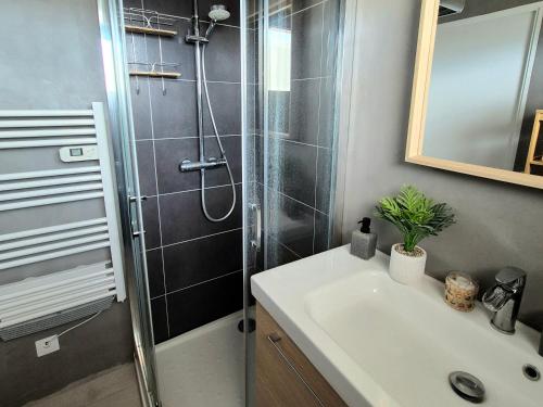 une salle de bain avec douche et lavabo dans l'établissement Superbe T2 - 200m de la mer - Piscine - Parking, à Villeneuve-Loubet