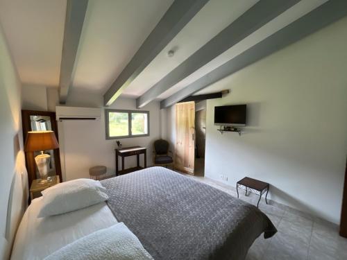 a bedroom with a large bed and a television at Auberge du col saint Georges in Grosseto-Prugna