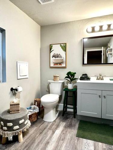 a bathroom with a toilet and a sink at Boho Bungalow near TU/DT/Cherry St/Expo Center in Tulsa