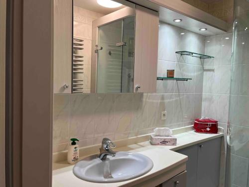 un baño con lavabo y espejo en L’Aiglon, en Ribeauvillé