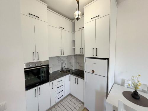 Η κουζίνα ή μικρή κουζίνα στο Era Apartments