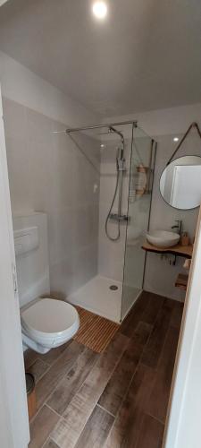 a bathroom with a toilet and a glass shower at Chambres d'hôtes Un Eté Sans Fin à 50 m de la plage à Canet plage in Canet-en-Roussillon