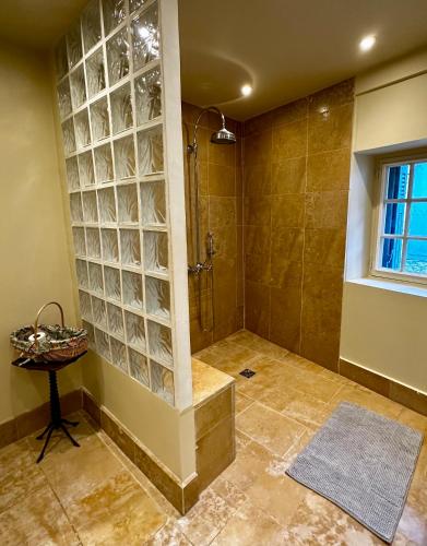 La salle de bains est pourvue d'une douche et d'une paroi en verre. dans l'établissement Le Vieux Manoir, à Amboise