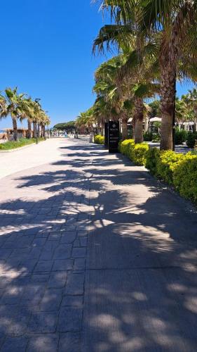 a sidewalk lined with palm trees on a sunny day at All Seasons Villa 2, Kompleksi Dielli in Golem