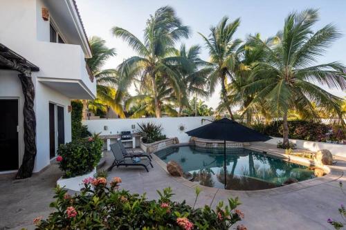 un patio trasero con piscina y palmeras en Chris Villa La Jolla San José del Cabo en San José del Cabo
