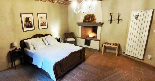 a bedroom with a large bed and a fireplace at La casa in collina in Cinzano