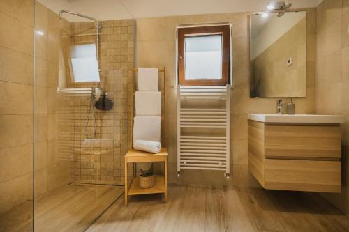 a bathroom with a shower and a sink at Rooms with Breakfast near Porec in Nova Vas