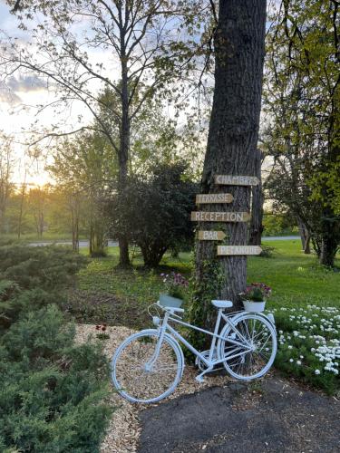 a bike parked next to a tree with a street sign at Motel Les Broussailles in Mesves-sur-Loire