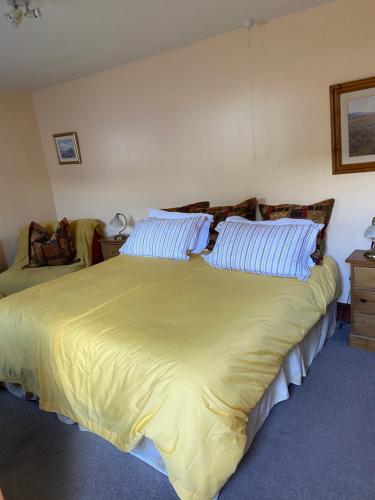 a bedroom with a large bed with yellow sheets and blue pillows at Willow Tree Cottages in Newark upon Trent