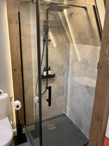 a shower with a glass door in a bathroom at La Ferme 1851 - Cabane Spa Nordique privé vue sur champ in Willems
