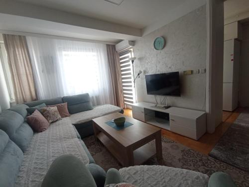 sala de estar con sofá y TV en Apartman Dragon Kg en Kragujevac