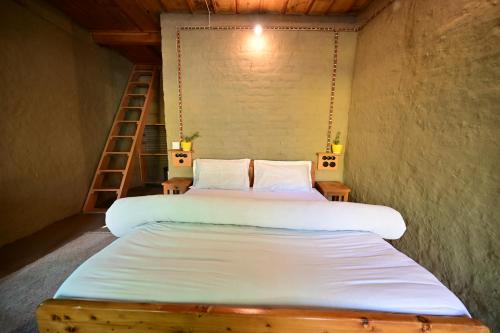 Postel nebo postele na pokoji v ubytování Himalayan Mud Resort