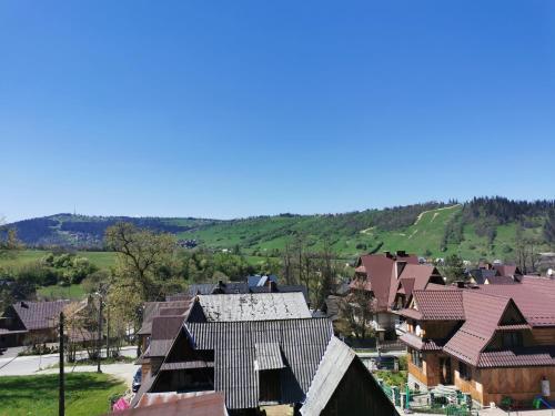ザコパネにあるCzarny Jeleńの家屋付き村の空中風景