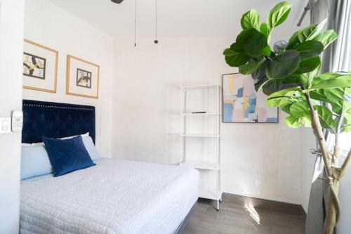 a bedroom with a bed and a potted plant at Casa Espejos Sauzal with AC and Private Parking in El Suazal