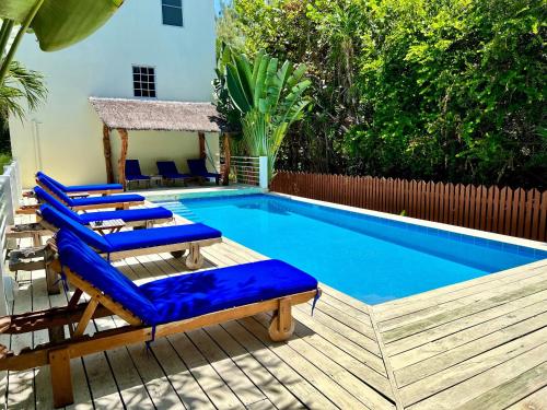 a swimming pool with blue cushioned chairs next to it at Caribbean Sunrise Villa in Caye Caulker