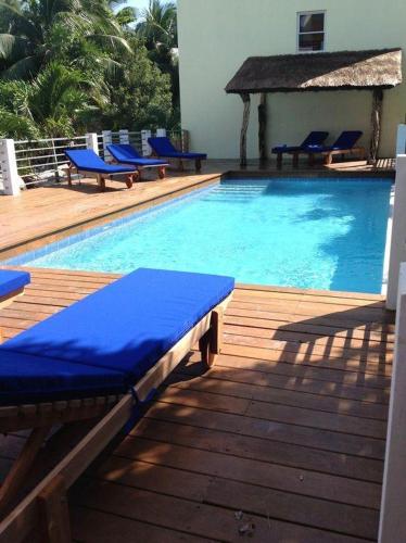 a swimming pool with blue chaise lounges on a wooden deck at Caribbean Sunrise Cottage in Caye Caulker