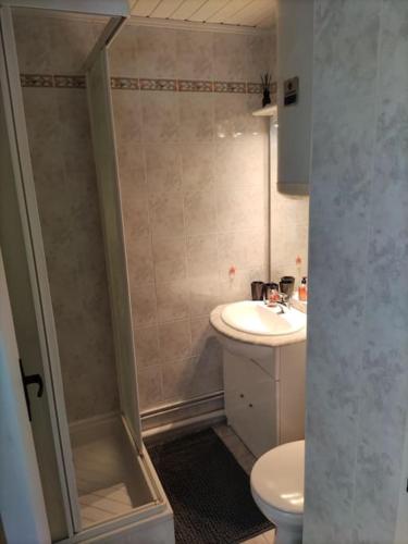 une salle de bain avec toilettes et lavabo dans l'établissement Charmant duplex, bord de mer, à Merville-Franceville-Plage