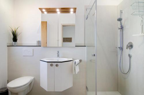 a bathroom with a toilet and a sink and a shower at Ferienwohnungen Walz in Pfullendorf