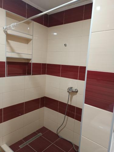 a bathroom with a shower with red and white tiles at 2BDR Apt with Balcony view - Free parking 2 in Sarajevo