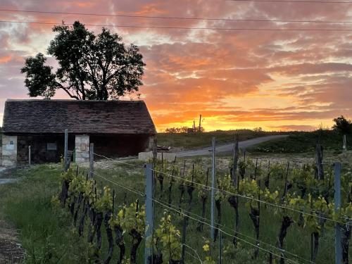 an old barn in a field with a fence at AusZeit Neusiedlersee in Mörbisch am See