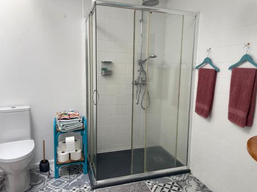 オルタにあるCasinha Azulのバスルーム(ガラス張りのシャワー、トイレ付)