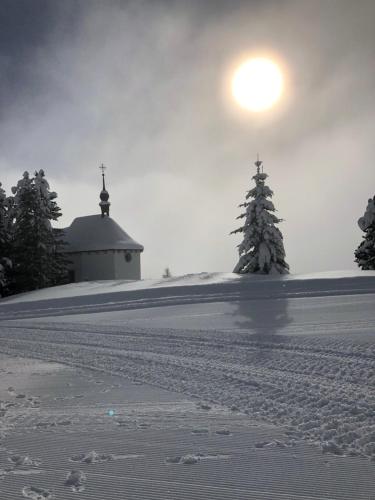 a snow covered field with a church and a tree at Alpenperle 1OG in Riederalp
