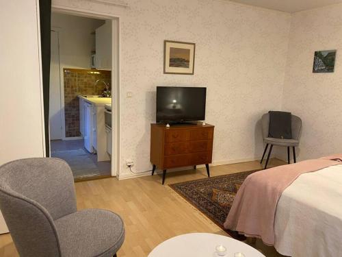 een slaapkamer met een bed en een televisie op een dressoir bij Lantgård nära stad, fiske o golf in Malmö