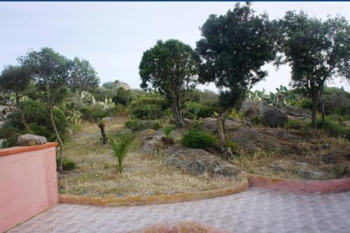 a garden with rocks and trees on a hill at VILLA CATERINA in Calasetta