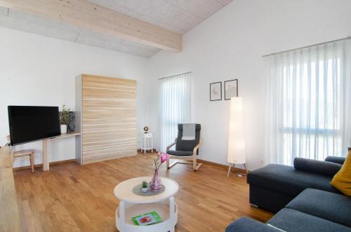 a living room with a couch and a tv at Ferienwohnungen Walz in Pfullendorf