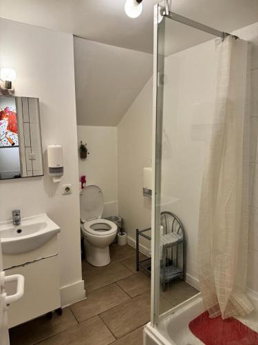 une salle de bain avec une douche, des toilettes et un lavabo dans l'établissement George & Dragon Pub, à Luxembourg