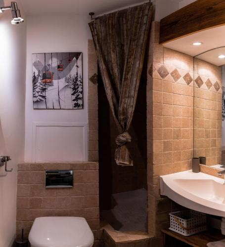 une salle de bain avec une douche, des toilettes et un lavabo dans l'établissement IMMODREAMS - La Marmotte - Avoriaz, à Avoriaz