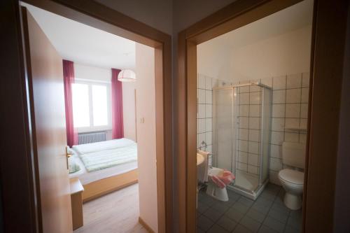 baño con lavabo y aseo y ventana en Albergo Deva, en Riva del Garda