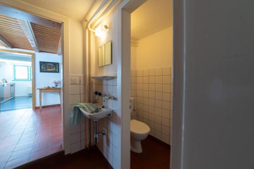 a bathroom with a toilet and a sink at Chammern in Nesslau
