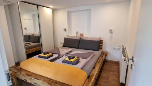 a large bed in a room with a mirror at Ferienwohnung Vier Pfoten in Willingen