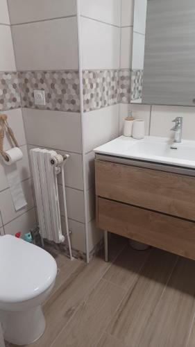 a bathroom with a toilet and a sink at VILLARGONDRAN, les lacets Mauriennais, garage motos, vélos in Villargondran
