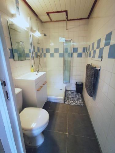 une salle de bain avec toilettes, lavabo et douche dans l'établissement Printemps Quatre Saisons, à Bergerac