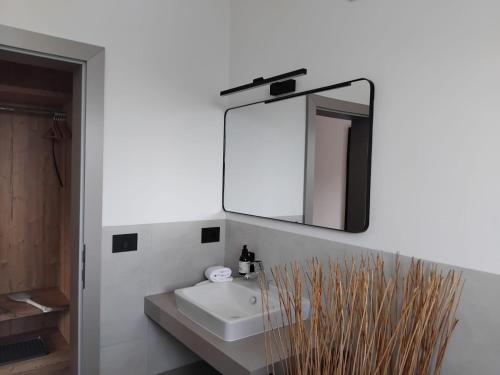 a bathroom with a sink and a mirror at Biogasthaus Plonerhof in Bressanone