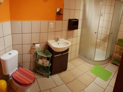 een badkamer met een wastafel, een toilet en een douche bij Studio Ania in Stegna