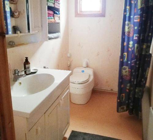 a bathroom with a sink and a toilet at House with lake plot and own jetty on Skansholmen outside Nykoping in Nyköping