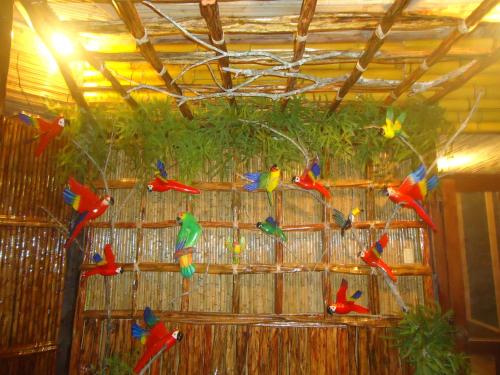 a bunch of colorful birds hanging from a ceiling at Pacaya Samiria Amazon Lodge - ALL INCLUSIVE in Nauta