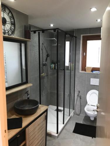 Un baño con lavabo, ducha e inodoro. en Pavillon F4, en Thiais