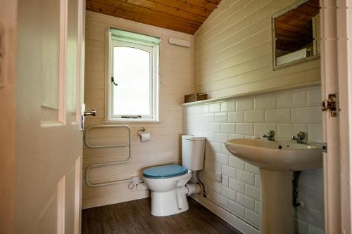 uma casa de banho com um WC e um lavatório em Poachers Perch At Tapnell Farm em Yarmouth