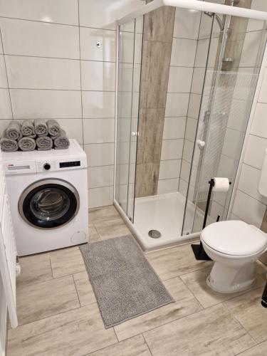 y baño con lavadora y aseo. en Apartma Vovk en Mojstrana
