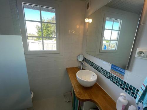 une salle de bain avec un lavabo et un miroir dans l'établissement Agréable maison de vacances, à La Tranche-sur-Mer