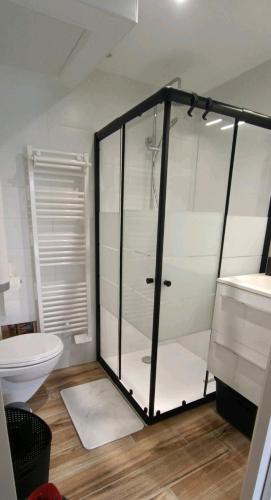 une salle de bain avec une douche en verre et des toilettes dans l'établissement Le Colibri, à Saint-Jean-de-Monts